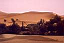 r-Sahara2.JPG