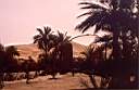 r-Sahara3.JPG