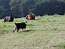 P1010004.JPG